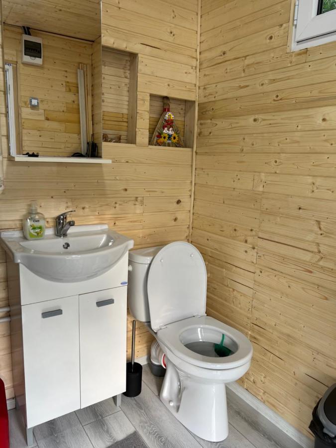 Casa Pe Lac ビカズ エクステリア 写真